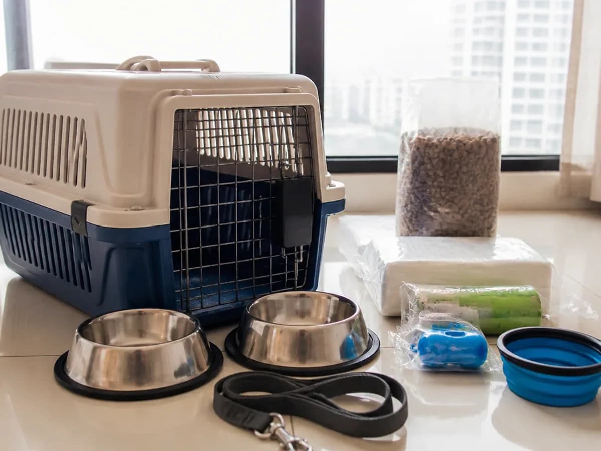 Pet Carrier, Bowls and Travel Kit detail photo