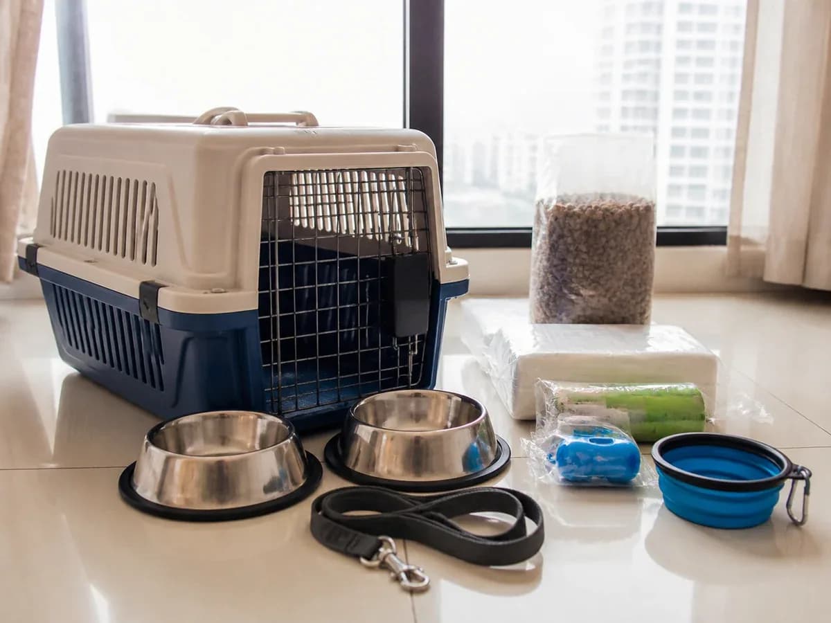 Pet Carrier, Bowls and Travel Kit sample listing photo