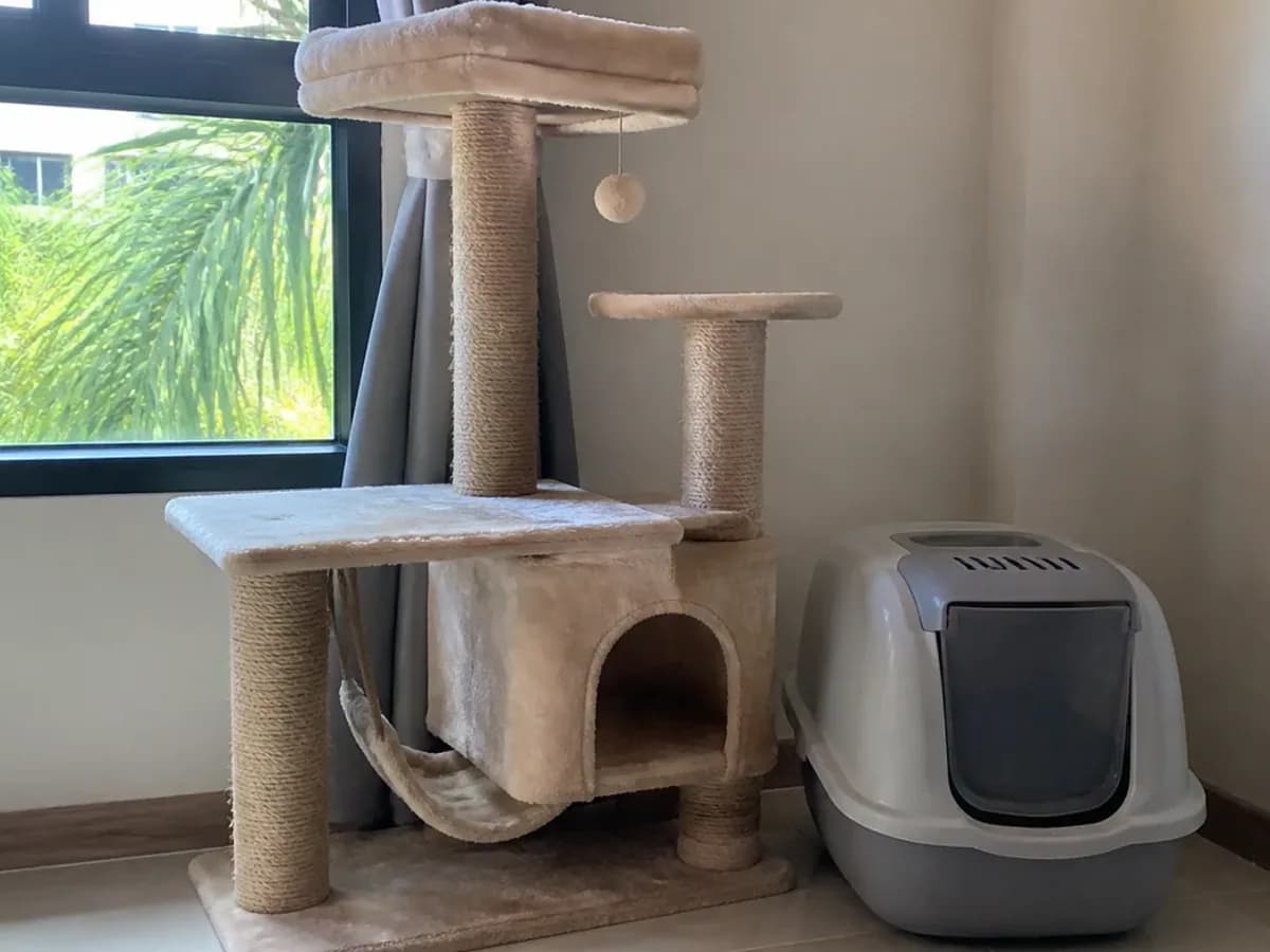 Cat Tree and Covered Litter Box detail photo