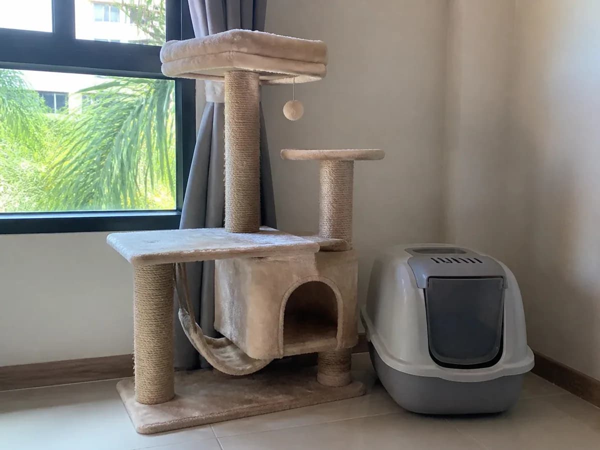 Cat Tree and Covered Litter Box sample listing photo