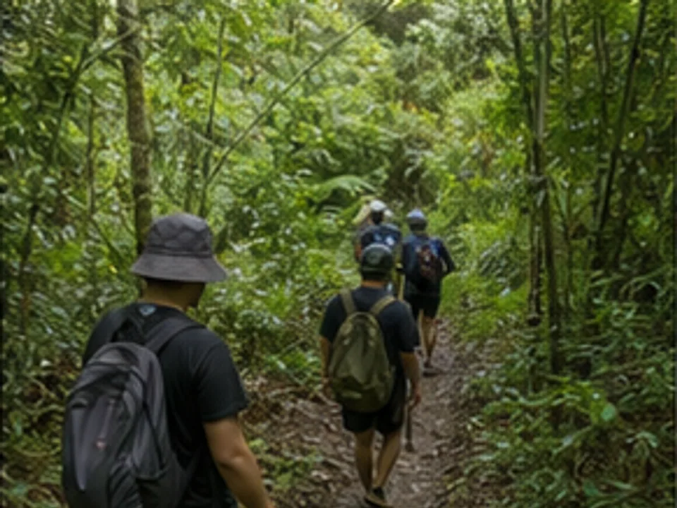 guided Chiang Mai jungle trekking on confirmed routes