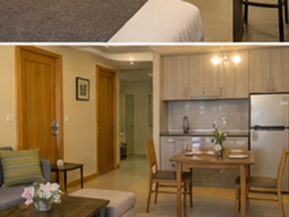 furnished apartment, kitchen, living area, and arrival support