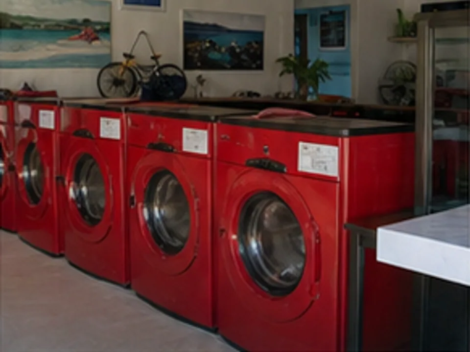 wash, dry, fold, ironing, and hotel pickup or return